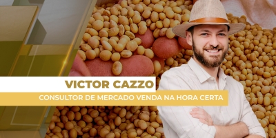 Preços da soja perdem até R$ 1,50 por saca no mercado brasileiro diante da baixa do dólar e apesar do fôlego em Chicago
