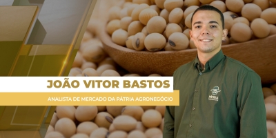 BR já tem quase 25 mi de t de soja entre embarques e lineup, volume 40% maior em relação a 2025