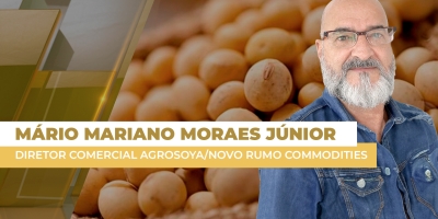 Futuros da soja realizaram lucro em Chicago e fecharam a terça-feira com leves recuos