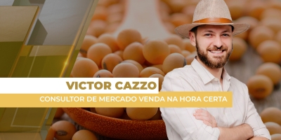 Brasil fecha semana de bons preços, margens e negócios para soja disponível; atenção à safra 25/26