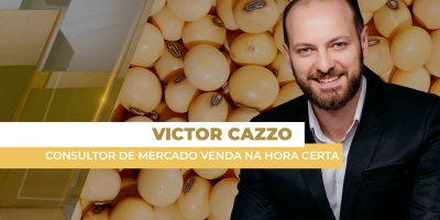 Alta do dólar ajuda soja brasileira e derruba cotações de Chicago nesta sexta-feira