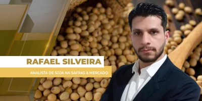 Soja não deve ter grandes curvas de preços no curto prazo e semana começa com estabilidade