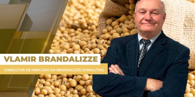 Soja: Semana tem maior volume de negócios e preços acima dos R$ 140 para agosto nos portos do BR