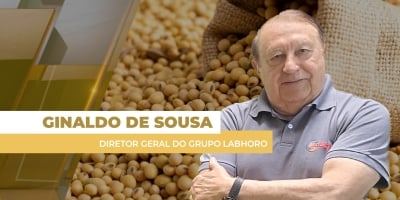 Após USDA, soja termina o dia com baixas agressivas em Chicago e pode perder os US$ 10 com tendência de baixa estabelecida