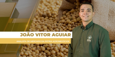 Mercado brasileiro da soja tem novo dia de baixa nos preços e mercado travado nesta 5ª feira