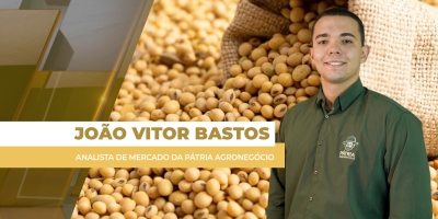 Soja se consolidando nos US$12 / bushel em Chicago, mas ganhos não chegam ao produtor brasileiro