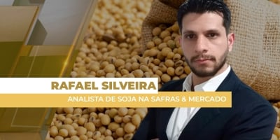 Soja: Mercado brasileiro tem basis bem acima da paridade de exportação em diversas regiões e motiva novos negócios