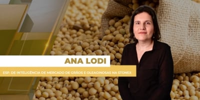 Soja tem leves ganhos em Chicago no fechamento desta 4ª, mas pressão da oferta robusta continua limitando recuperação