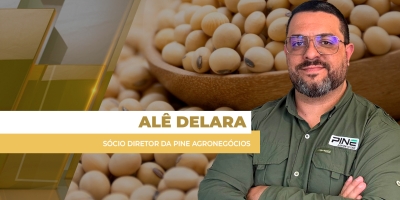 Com volatilidade em Chicago e prêmios pressionados no BR, oportunidades para soja podem vir do dólar