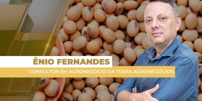Soja tem início de semana com prêmios fortes e alta do dólar compensando baixas em Chicago, mas poucos negócios