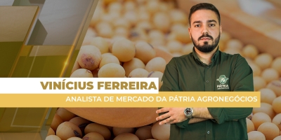 Apesar de queda na CBOT, soja segue em alta no Brasil com suporte consistente dos prêmios