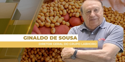 Soja teve semana de bons negócios no Brasil com alta do dólar e dos prêmios, mas atento a Chicago