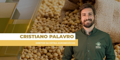 Soja nos portos do BR volta a se aproximar do R$ 130/sc com Chicago subindo mais do que caem os prêmios