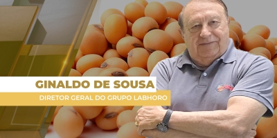 Prêmios da soja testam até US$ 1,80 por bushel acima de Chicago nesta 3ª diante da boa demanda e da lateralidade de Chicago