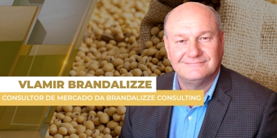 Prêmios da soja 25/26 começam a semana positivos no Brasil e mercado, afirma Brandalizze, é comprador
