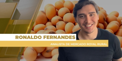 Falta de acordo EUA-China derruba soja em Chicago, mas volta a puxar prêmios no mercado brasileiro