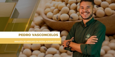 Soja em Chicago, prêmio e dólar em queda nesta 5ª feira pesam sobre preços e novos negócios no Brasil