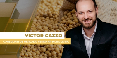 Soja termina com preços estáveis no mercado brasileiro, com pressão de Chicago, mas suporte do dólar