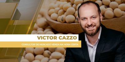 Preços da soja ao produtor brasileiro têm semana positiva e de avanço dos negócios