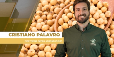 Dólar segue como principal direcionador da soja no BR e prêmios continuam se valorizando