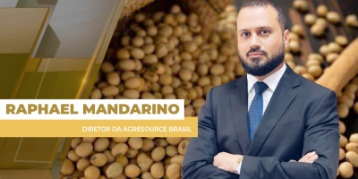 Apesar das altas em Chicago, preços da soja não reagem no BR em função da queda do dólar