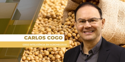 Mercado da soja tem viés baixista até mesmo no longo prazo; margens no BR podem ser ainda menores em 26/27