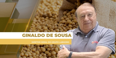 Mercado brasileiro da soja começa semana travado com Chicago e dólar em queda nesta 2ª feira