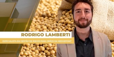 Soja fecha em alta na Bolsa de Chicago, mas repasse dos ganhos para os preços do BR continua limitado