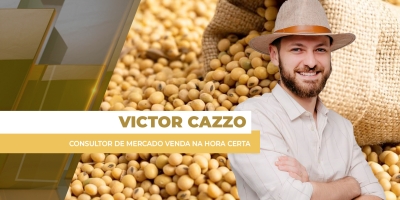 Semana termina com principais compradores de soja do Brasil fora do mercado e preços pressionados