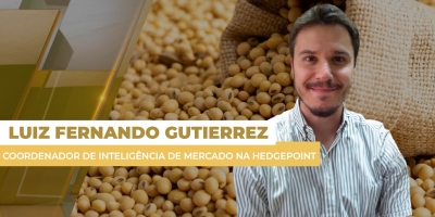 Soja tem dia de perdas intensas em Chicago, mas prêmios e dólar valorizados seguram preços no Brasil