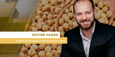 Vendas de soja avançam na semana no mercado brasileiro, com margens remunerando melhor o produtor