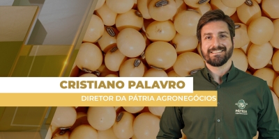 Soja sobe em Chicago com atenção à demanda da China e clima na AMS, mas preços sentem leve pressão no BR nesta 5ª feira