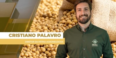 Prêmios da soja estão até 11% mais altos do que em 2025 e ajudam a equilibrar preços para o produtor brasileiro