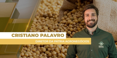 Preços da soja caem no Brasil com recuo do dólar e Chicago lateralizado nesta 4ª feira