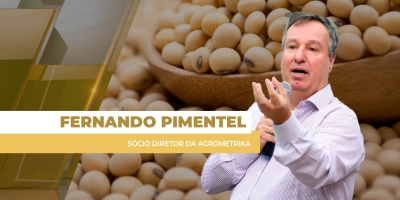 Mercado financeiro nervoso e incerto aumenta volatilidade dos preços da soja em Chicago