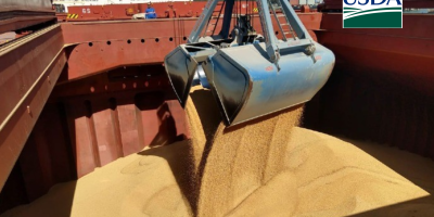 USDA traz embarques semanais de soja acima das expectativas do mercado