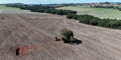 Produtores gaúchos preparam plantio das culturas de inverno