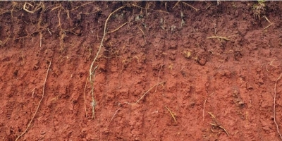 O solo como produto de relações, por Afonso Peche Filho