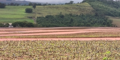 Paraná deve ter trégua da chuva no fim de semana após dias de temporais e solo encharcado
