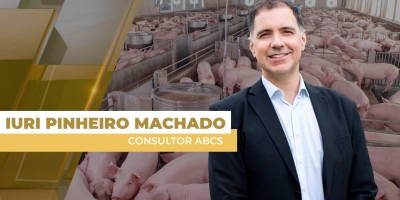 Mercado de Suínos em Alerta