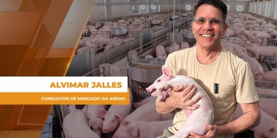 Suínos: Exportação, indústria e varejo: quem define o preço?