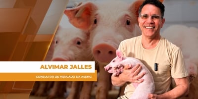 Preço do suíno despenca e produtor opera no vermelho em Minas Gerais