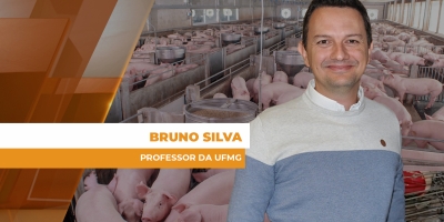 Nutrição de precisão transforma resultados na granja