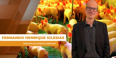 Suínos: preços estabilizam em março, mas setor segue pressionado