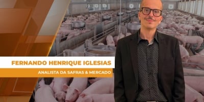 Suinocultura começa 2026 pressionada e ainda sem reação clara nos preços