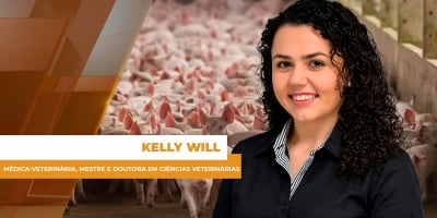 Produzir mais ou produzir melhor? O novo jogo da suinocultura