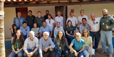 Suinocultura em Minas Gerais expõe custos elevados e pressão sobre a produção