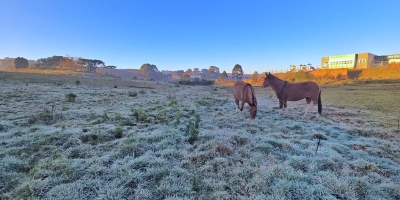 Frio abaixo de zero acende alerta para lavouras do Sul do Brasil
