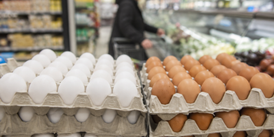 Supermercados britânicos divergem sobre oferta de ovos brancos e marrons