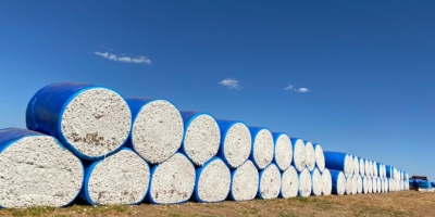 Algodão abre em campo misto na Bolsa de Nova York e mercado ajusta posições